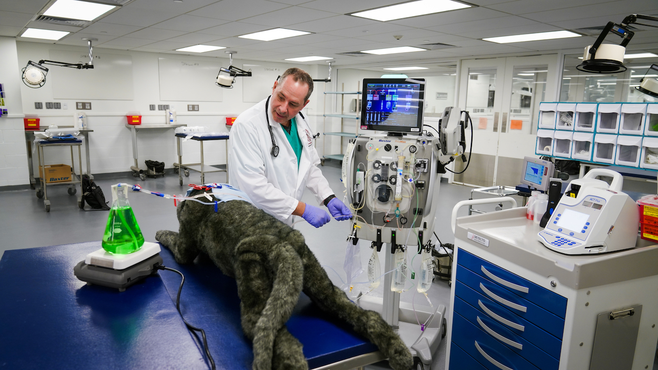 Dr. Jethro Forbes demonstrates the new unit with a fake patient and green dye