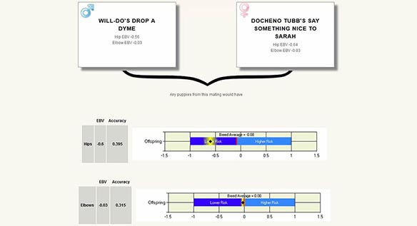 Estimated Breeding Value