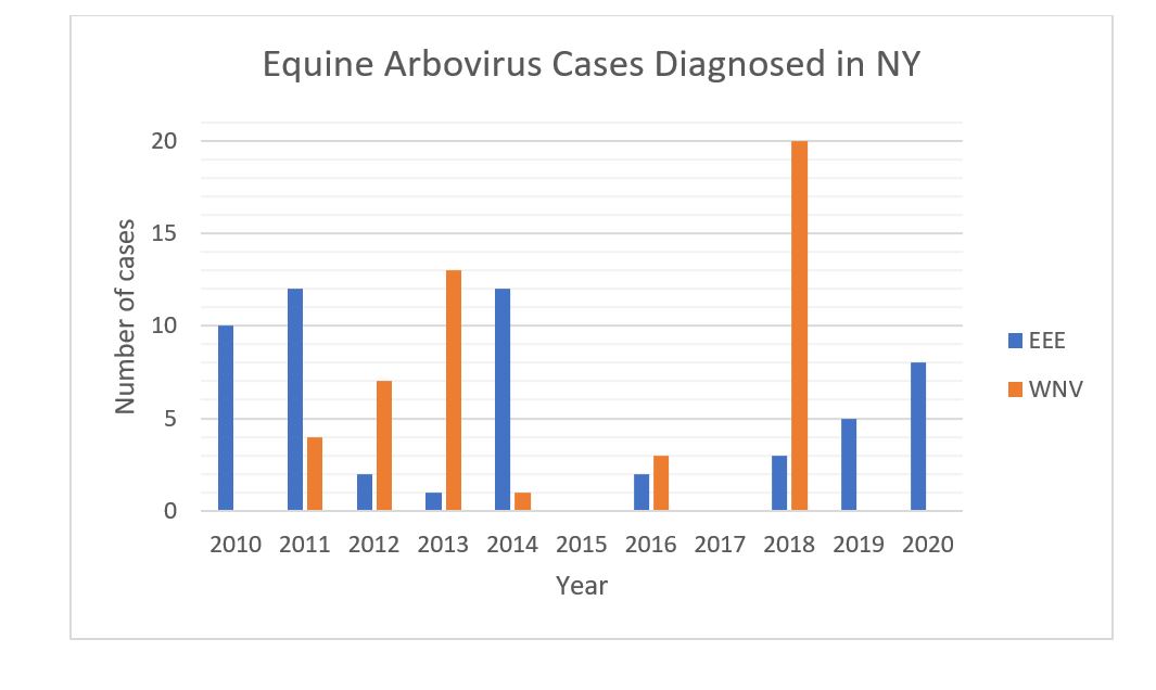 Equine Arbovirus Cases Diagnosed in NY