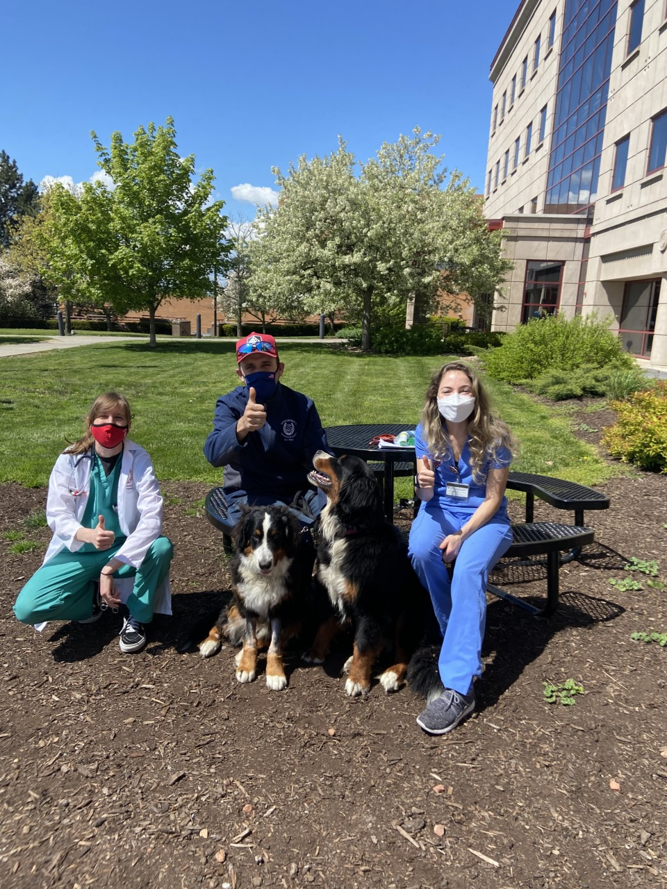 veterinary team members sitting with bernese mountain dog