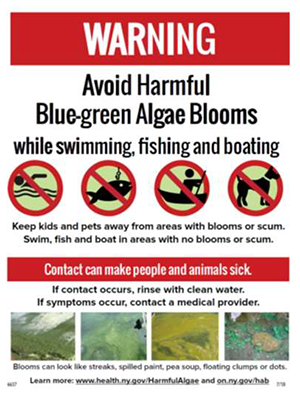 Freshwater Harmful Algal Blooms Warning Sign