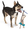dog with a cat brushing it's teeth