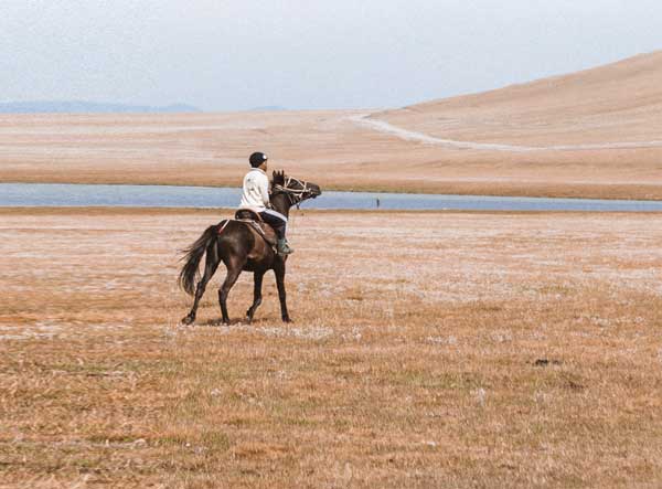 A person riding a horse on a grassy plain
