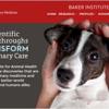 New interactive, online annual reports available now!