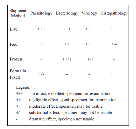 chart of different methods of shipping your fish specimen