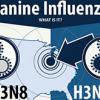Baker and AHDC develop canine influenza infographic