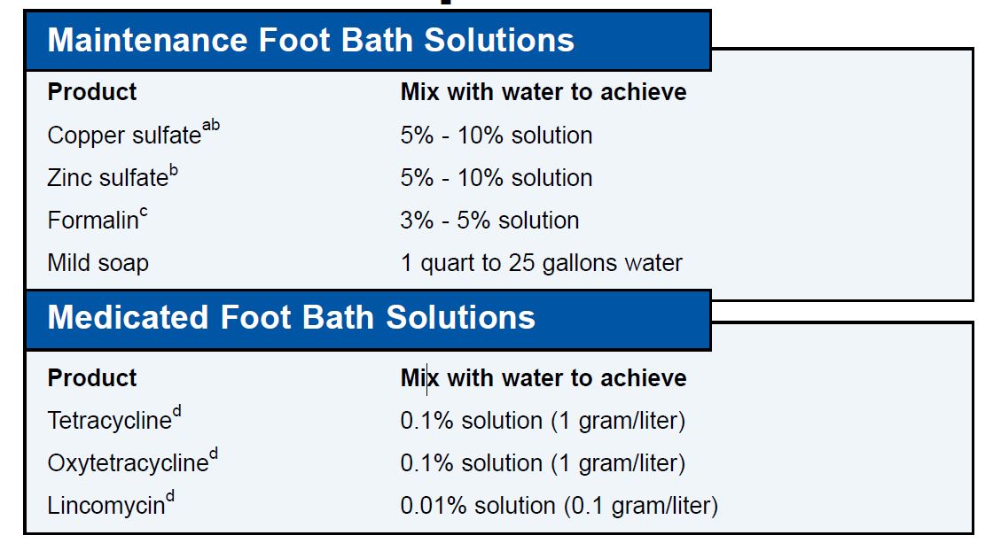 Foot Bath Options