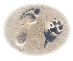 footprints in the sand