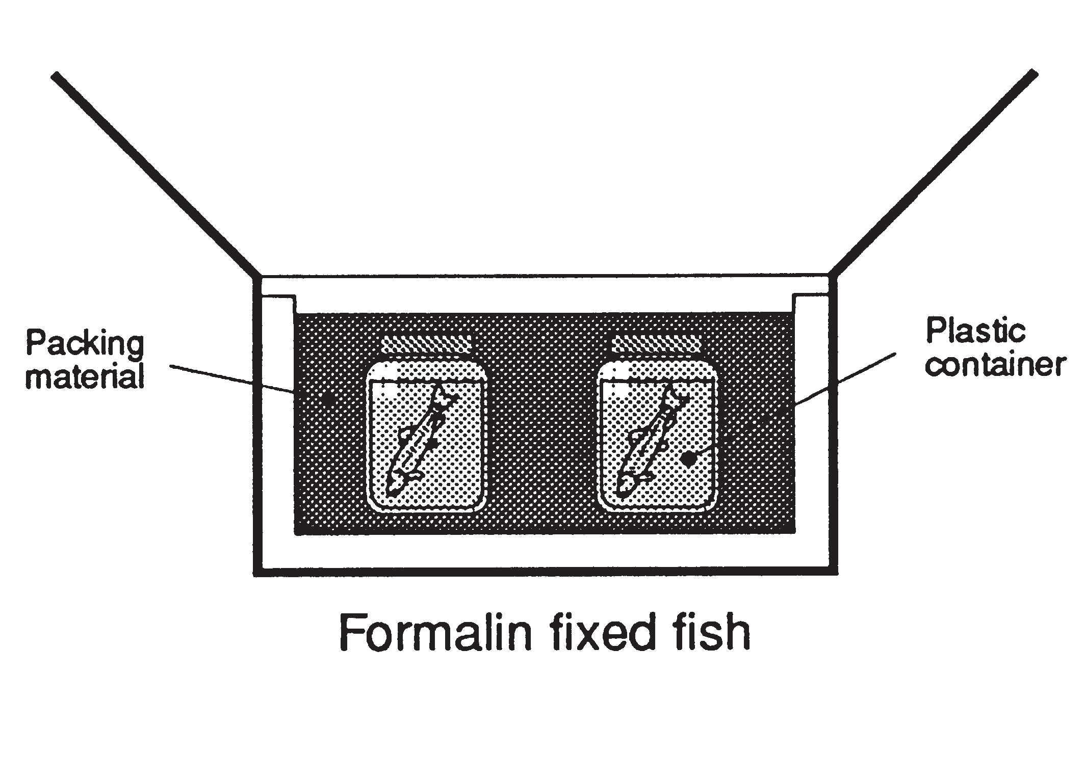 diagram on how to package fish in formalin