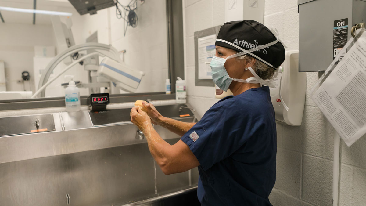 Lisa Fortier washes her hands to prepare for surgery at the Cornell Animal Hospital