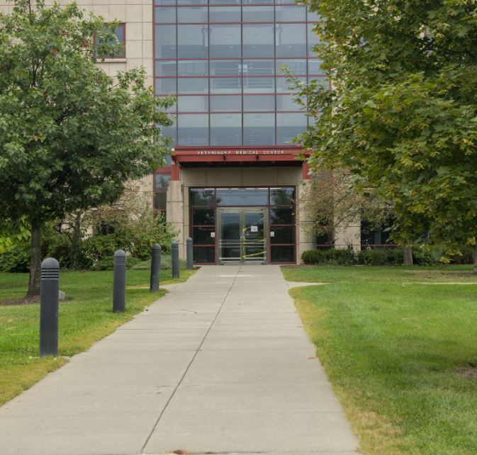 interior shot of CVM atrium