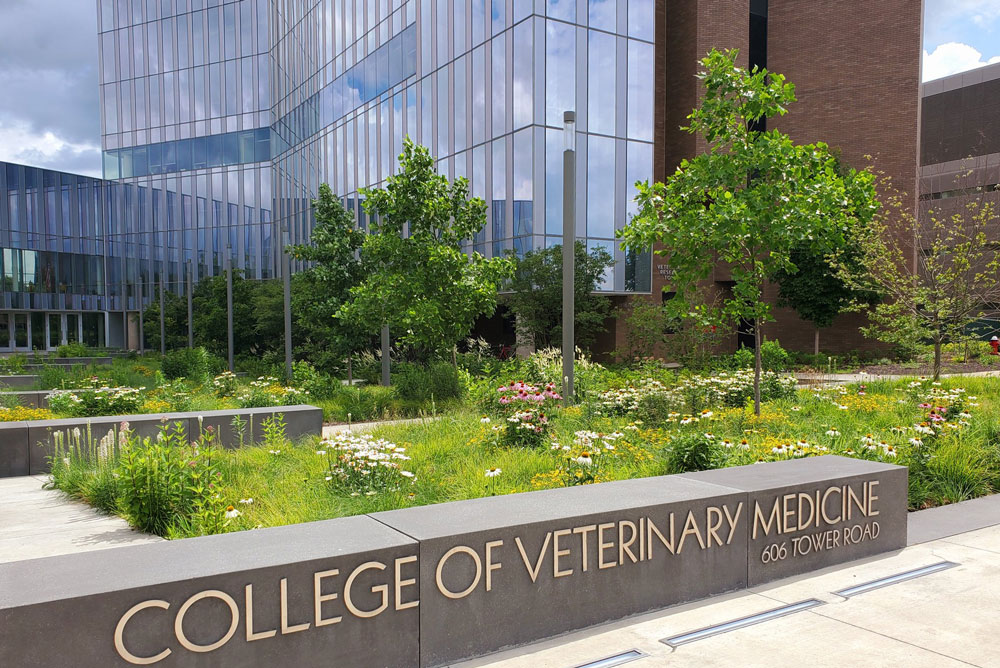 College Holds Clinical Investigators Day 2023 Cornell University 