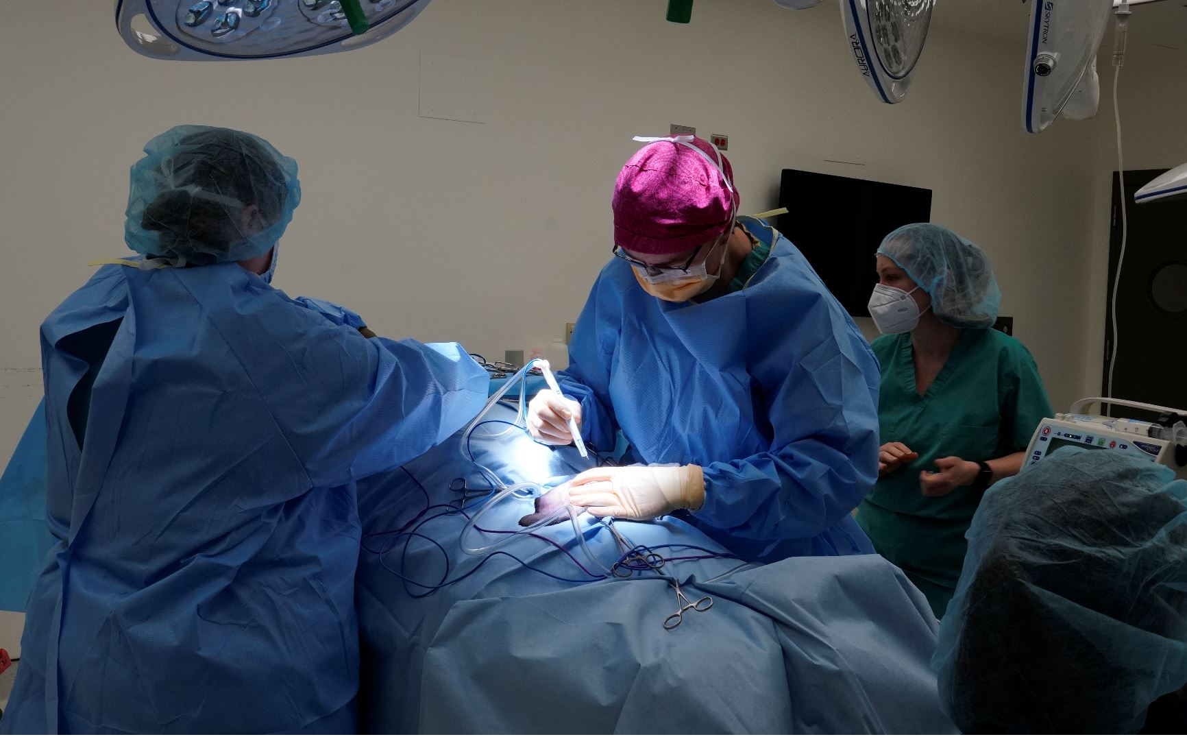 The surgical team performs a laparoscopic surgery