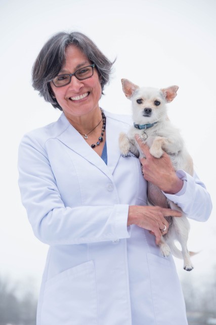 Carol Gamez, D.V.M. '91, stands in a white lab coat, holding a small dog.
