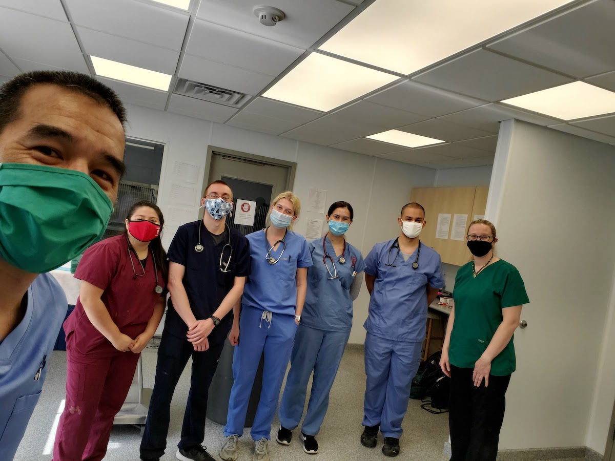 Seven FARVets members in scrubs pose in a line at Chemung County SPCA