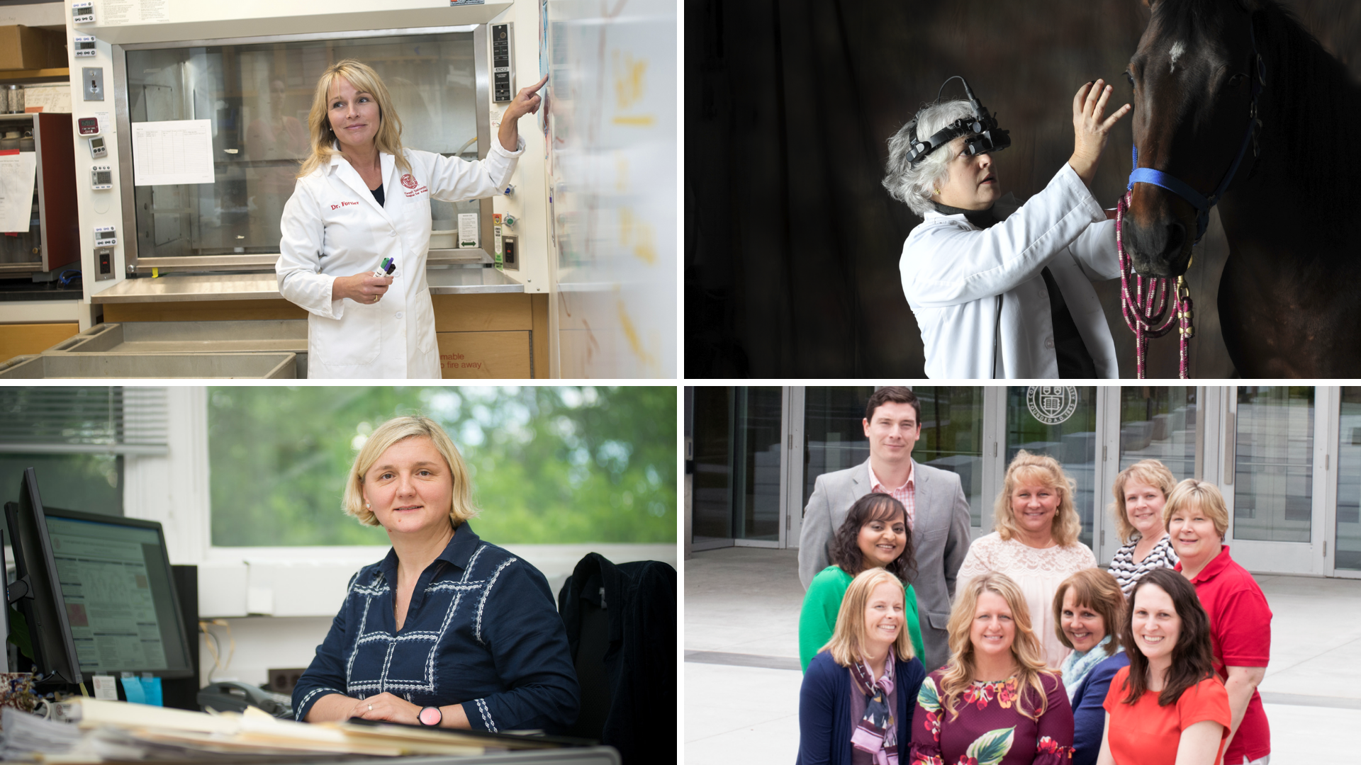 Collage of winners, with Fortier in a lab coat, Irby examining a horse, Ivanek at a desk, and Patel with the HR team outside the entrance to the college