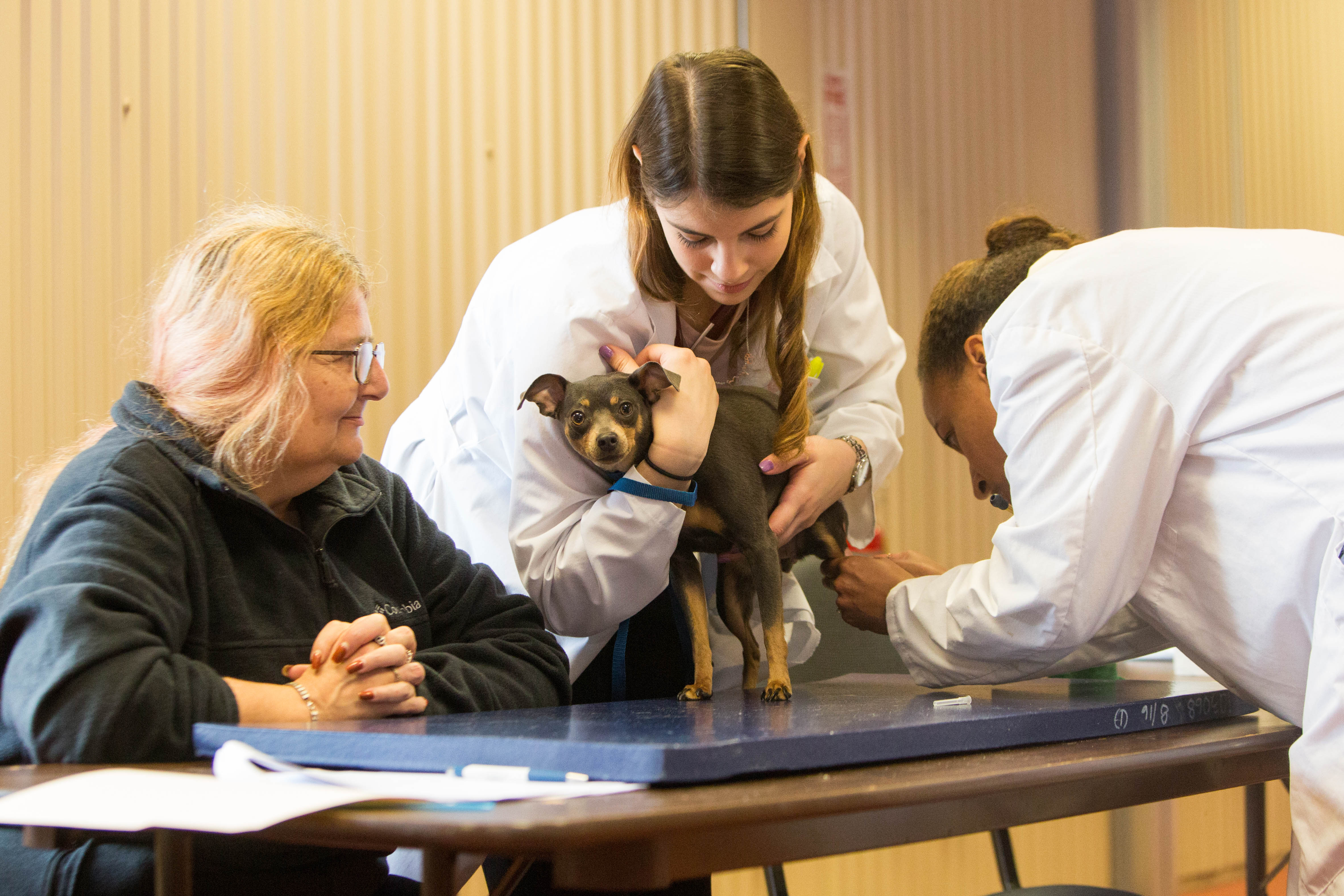 vet students examine a dog at a community clinic