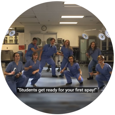 Cornell Vet students performing Hamilton parody