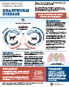Infrographic preview
