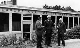 The founding of the Institute in 1950