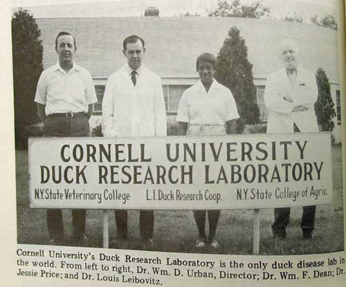 History of duck research lab