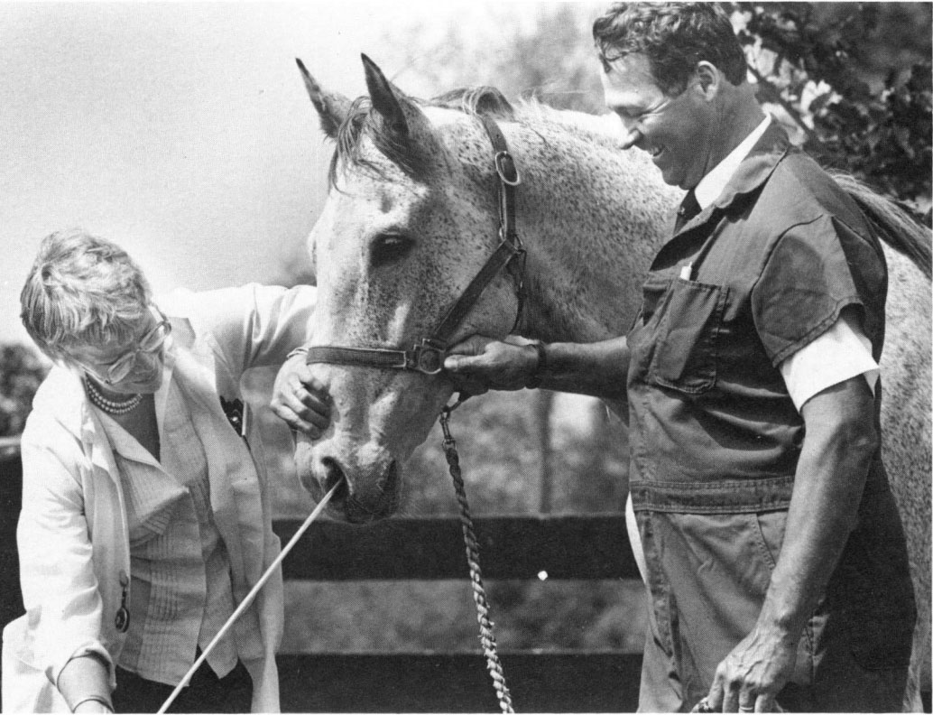 Dorothy Holmes and Jack Lowe collecting a nasal sample from a horse