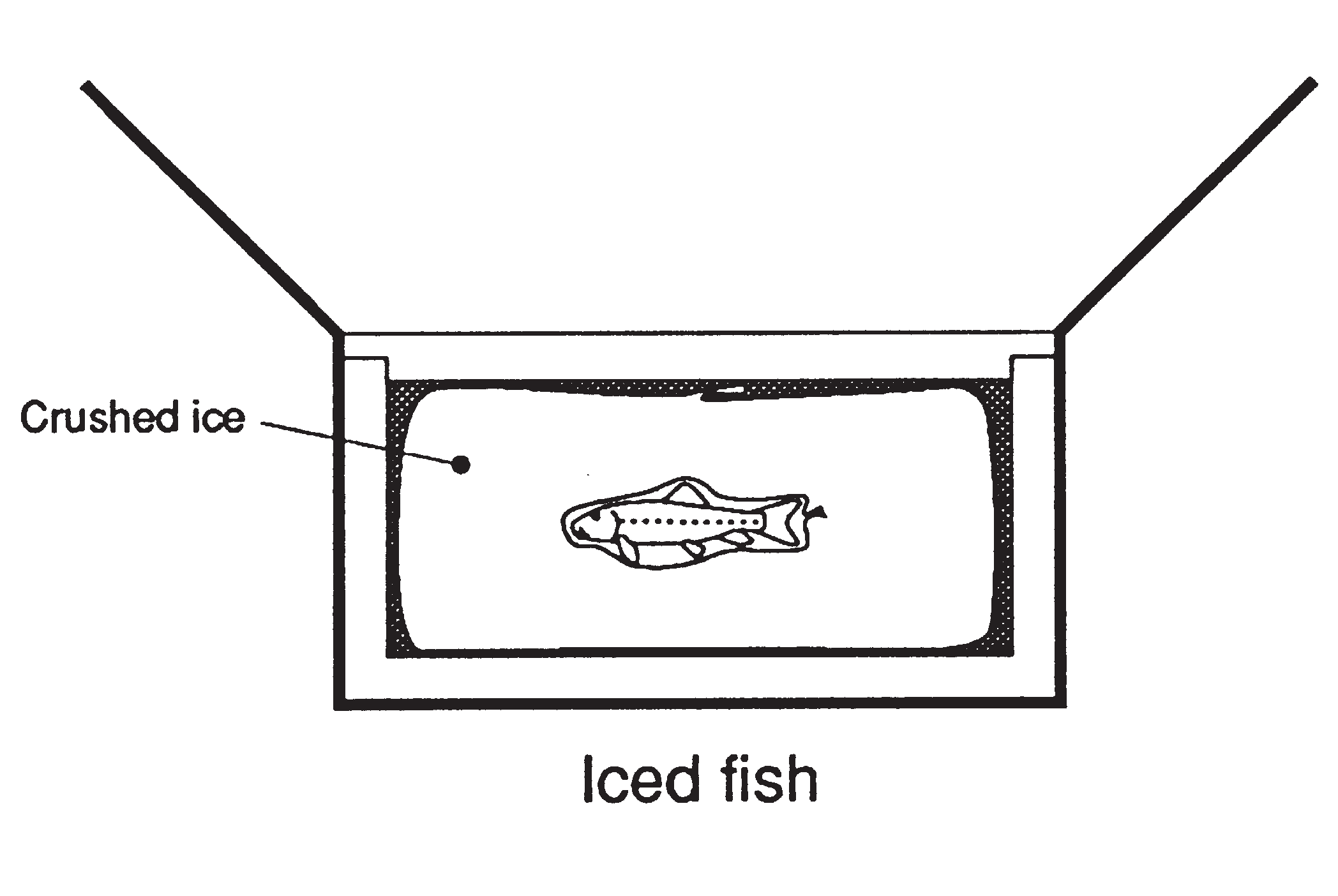 diagram of how to package a fish sample on ice