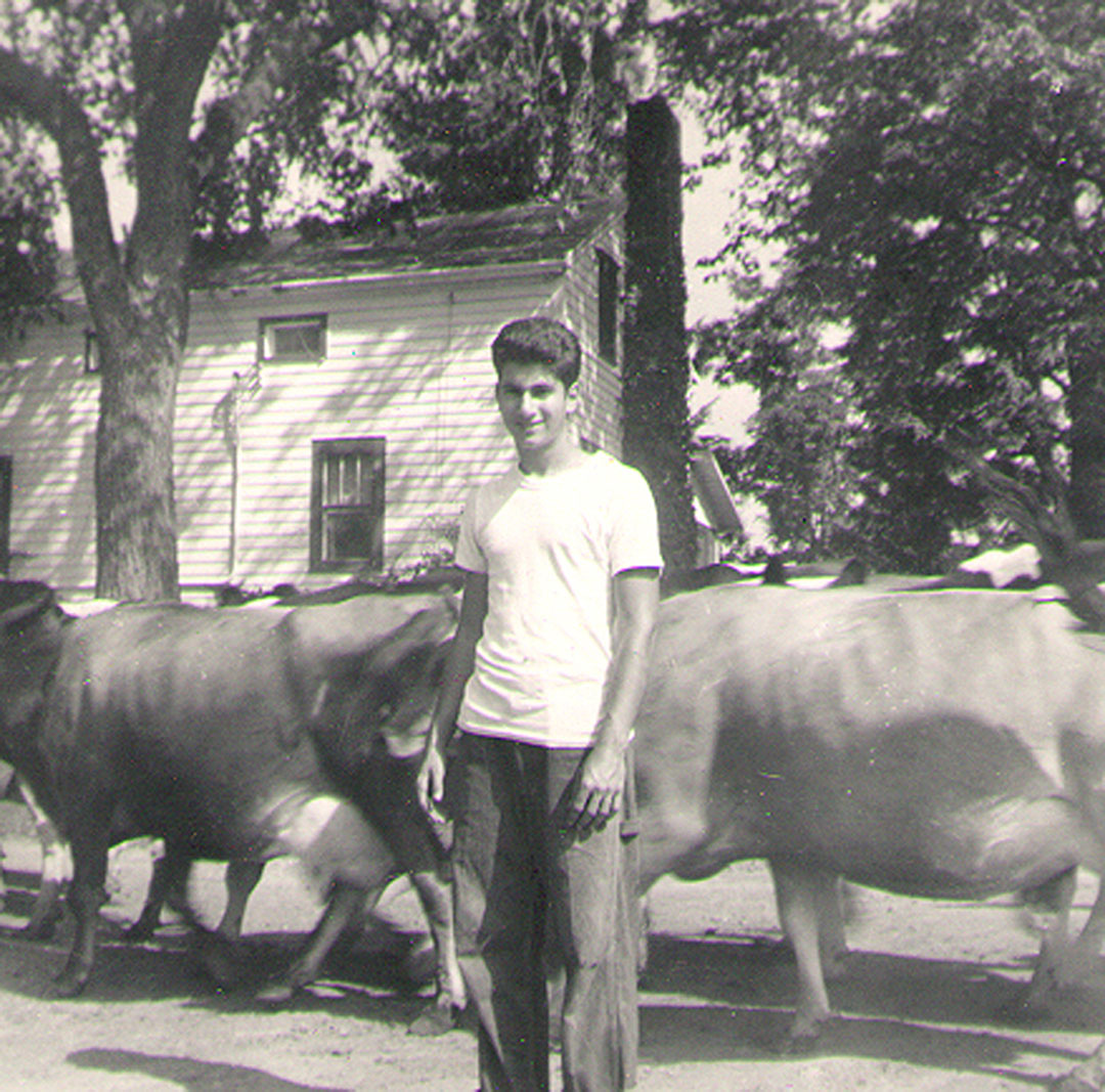 Black and white photo of Jerrold Ward as a young man standing in front of cows on a dairy farm