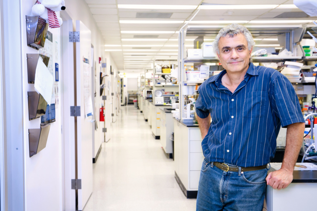 John Schimenti in his lab