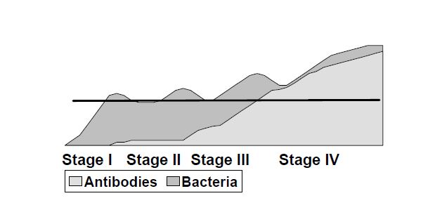 Figure 2. Hypothetical concentrations of mycobacteria and antibodies vary through the stages of infection. The horizontal line represents test detection level and demonstrates that bacteria are more detectable in late Stage III and throughout Stage IV.