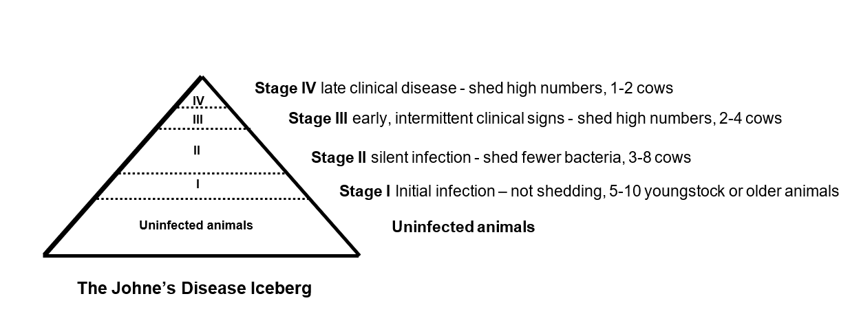 Johne's Iceberg Chart