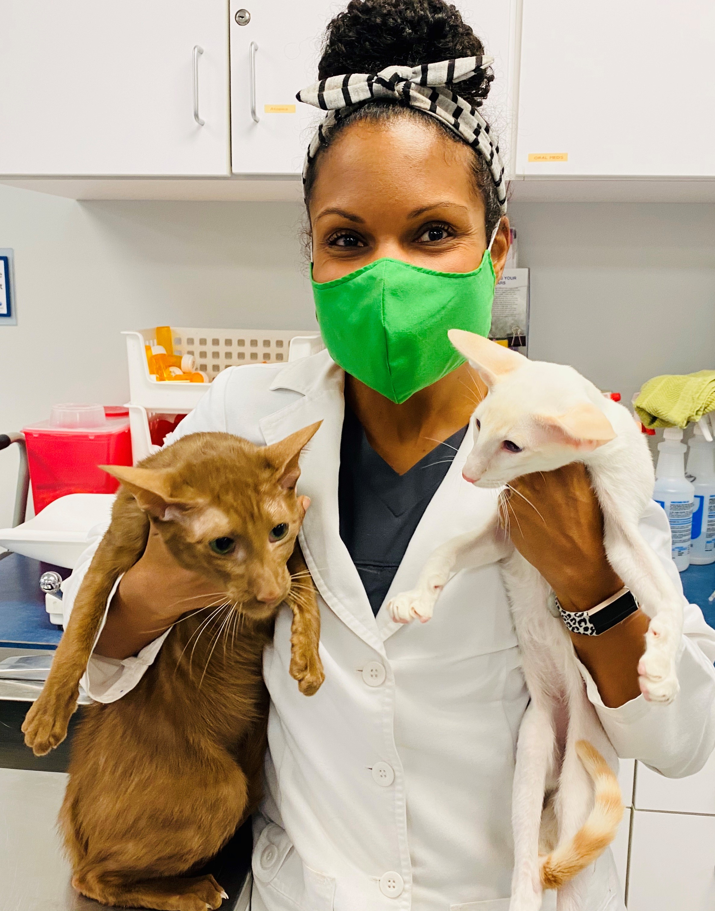 Dr. Joya Griffin with cats