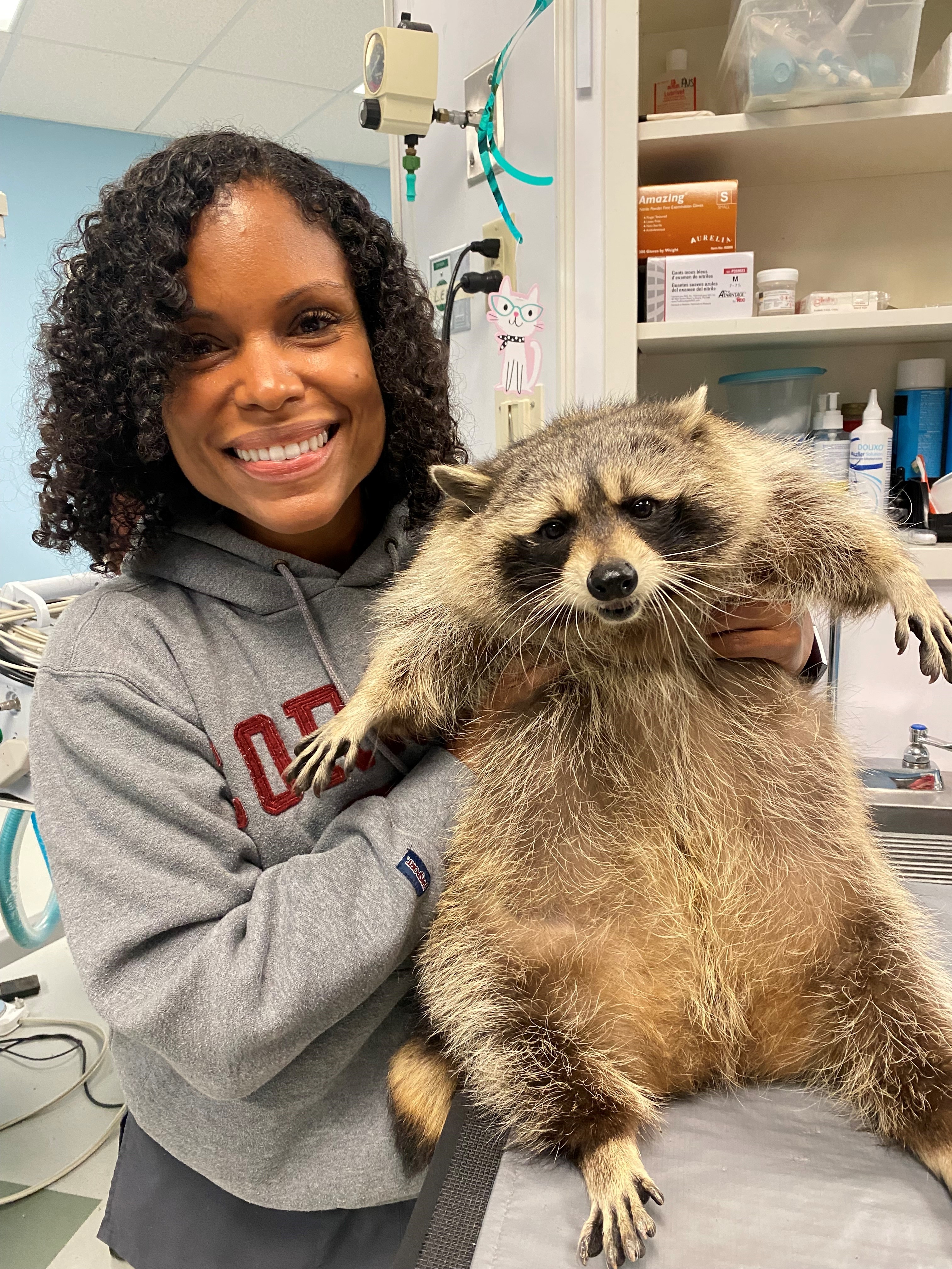 Dr. Joya with a raccoon