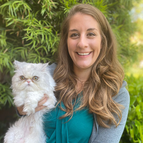 Companion Animal Hospital Neurology Meet Our Specialty Team