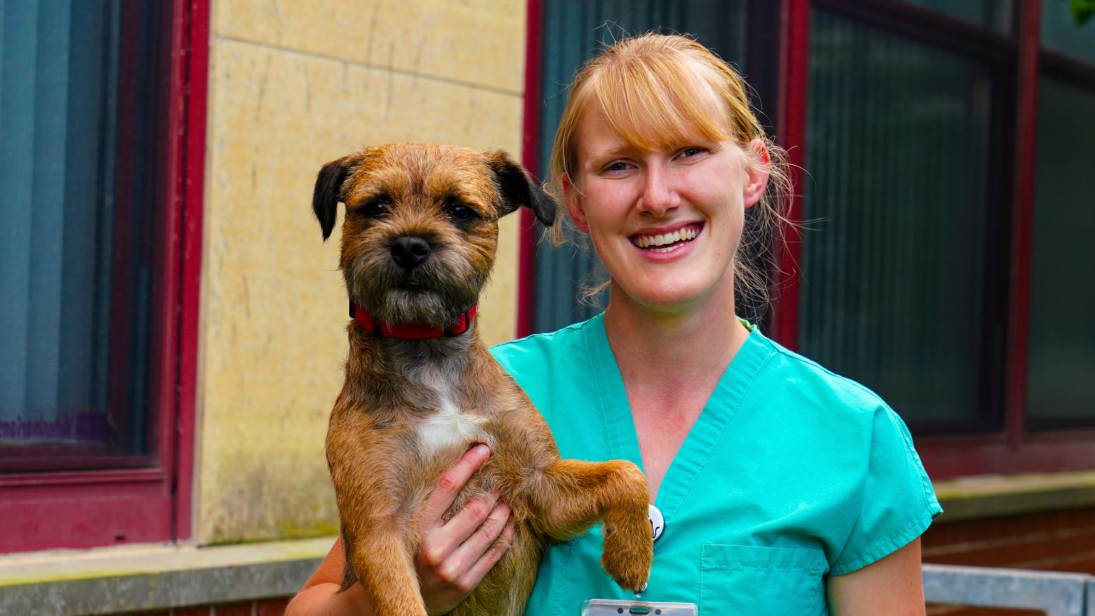 LVT holding a terrier