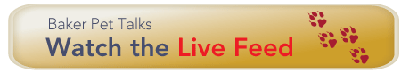 Live Stream Button