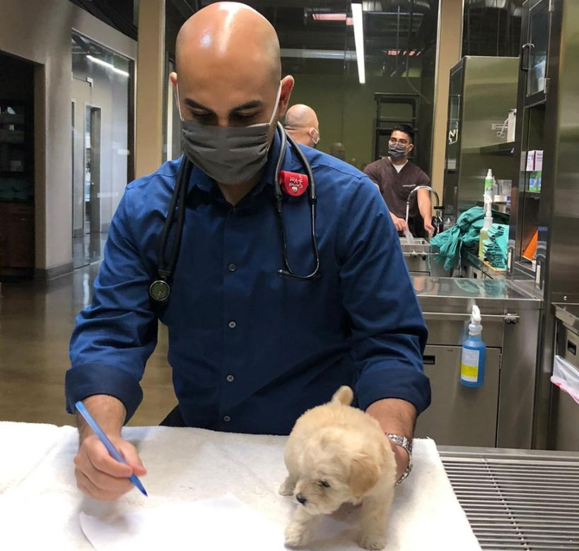 Julio Lopez examines a small white puppy