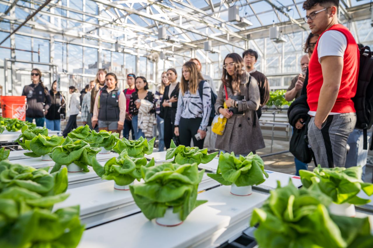 students in an aquaponic facility