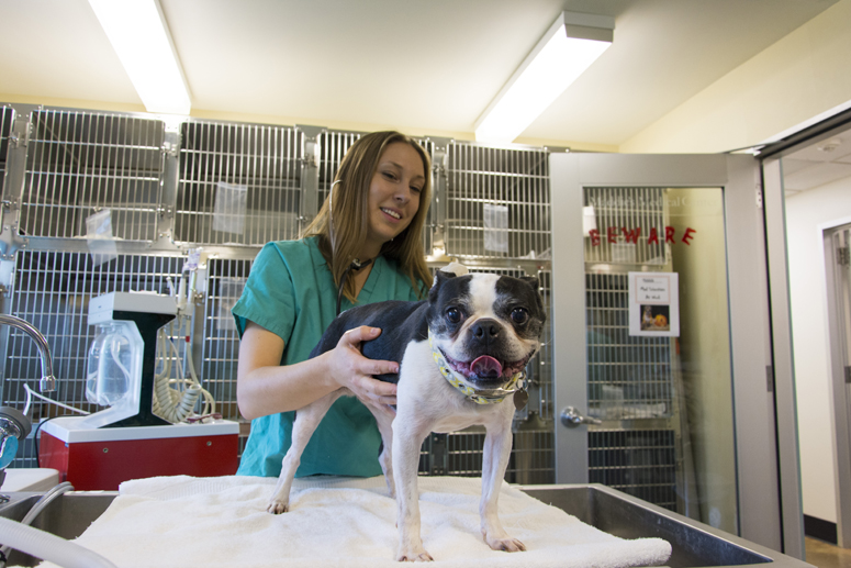 Intern with dog