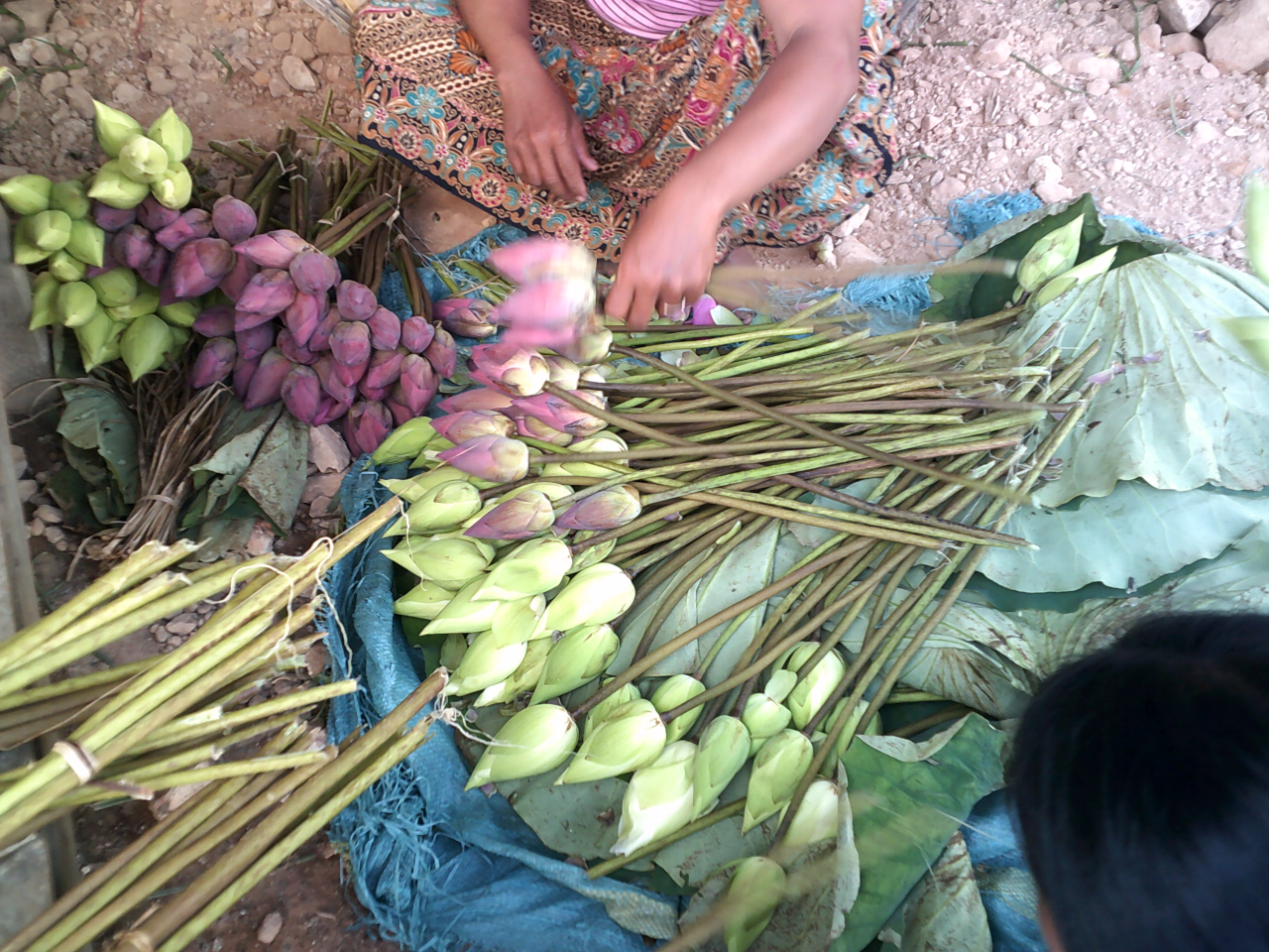 Lotus flowers on a market stand