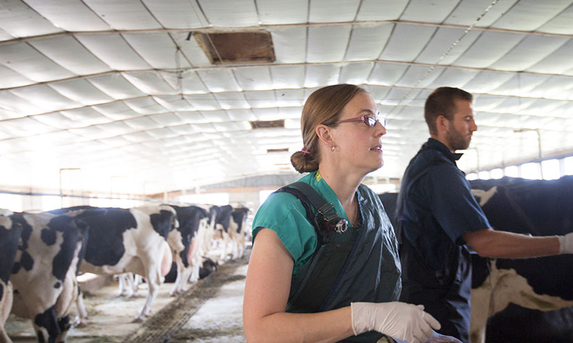 Dr. Jessica McArt at a dairy farm