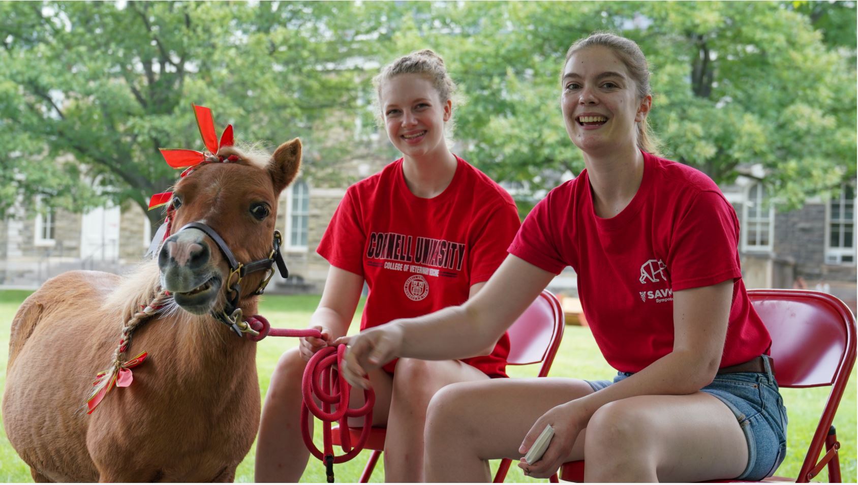 DVM students and Minnie the horse
