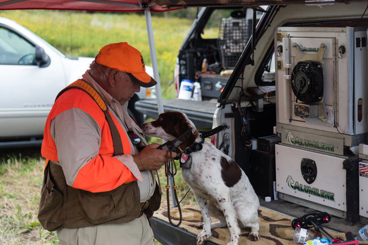 A man in hunting attire adjusts the radio collar on his dog