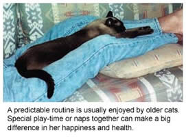 Loving Care for Older Cats Cornell University College of Veterinary Medicine