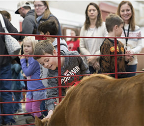 Children at a petting zoo