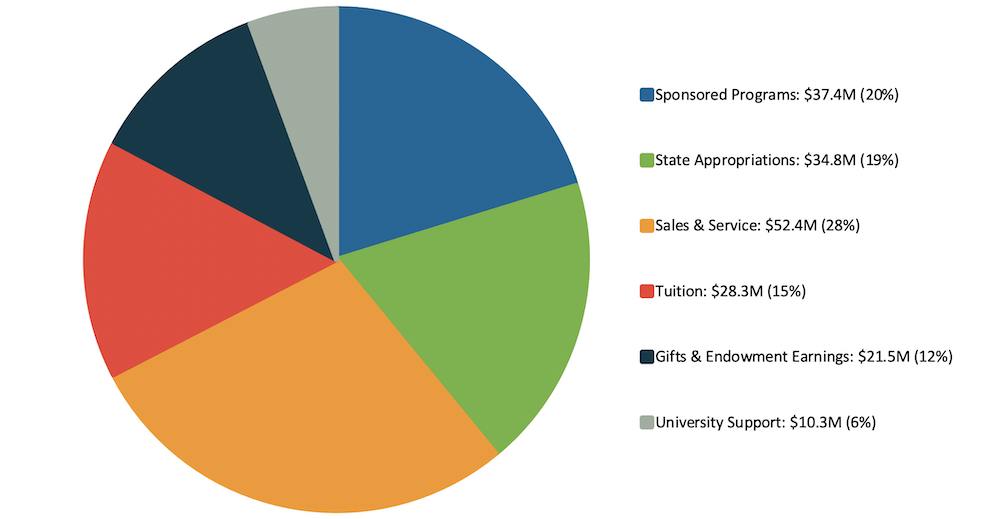 FY20 operating revenues pie chart, with sponsored programs at 20%, state appropriations at 19%, sales and service at 28%, tuition at 15%, gifts and endowment earnings at 12%, and university support at 6%