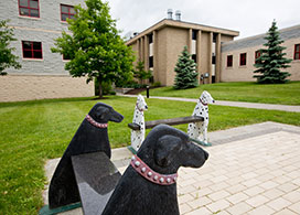 Bricks honoring lost pets at the Baker Institute