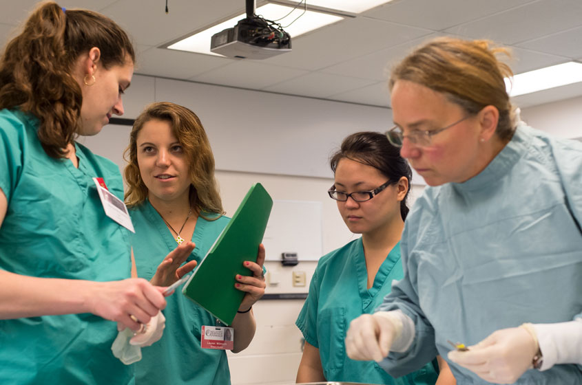 four doctors talking over a case