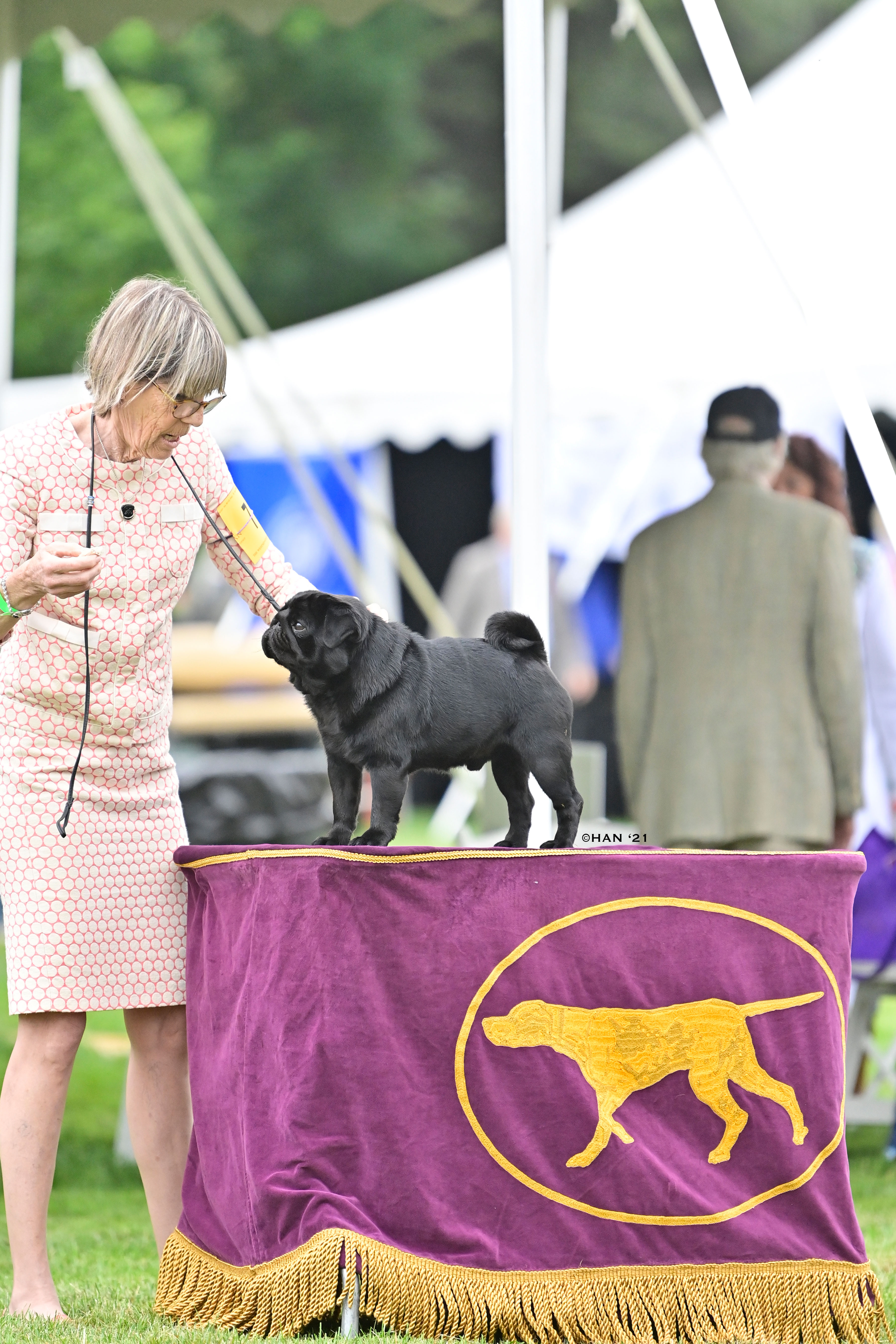 a woman and a black pug at the show table