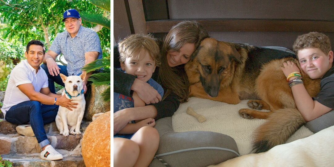 on the left, the Minerd family with dog Gracie; on the right, the Silverman family with dog Rex